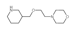 4-[2-(piperidin-3-ylmethoxy)ethyl]morpholine Structure