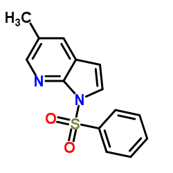 5-methyl-1-(phenylsulfonyl)-1H-Pyrrolo[2,3-b]pyridine Structure