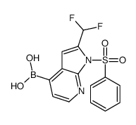 [2-(Difluoromethyl)-1-(phenylsulfonyl)-1H-pyrrolo[2,3-b]pyridin-4 -yl]boronic acid结构式