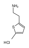 2-(5-Methyl-2-thienyl)ethanamine Hydrochloride Structure