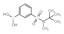 3-(N-叔丁基-N-甲基磺酰基)苯硼酸图片