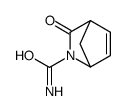 2-Azabicyclo[2.2.1]hept-5-ene-2-carboxamide,3-oxo-(9CI) picture