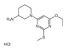 1-(6-Ethoxy-2-Methylsulfanyl-pyrimidin-4-yl)-piperidin-3-ylamine hydrochloride图片