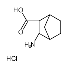 Bicyclo[2.2.1]heptane-2-carboxylic acid, 3-amino-, hydrochloride, (1R,2S,3R,4S)- structure