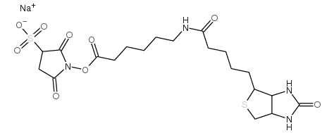 Sulfo-NHS-LC-Biotin sodium picture