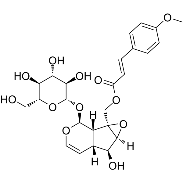 10-O-trans-p-methoxycinnamoyl-catalpol structure