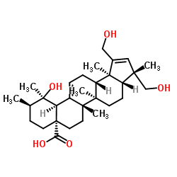 Rosamultic acid picture