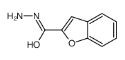 1-benzofuran-2-carbohydrazide结构式