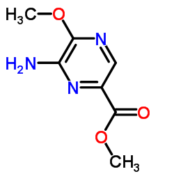Pyrazinecarboxylic acid, 6-amino-5-methoxy-, methyl ester (9CI) picture