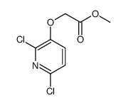 methyl 2-(2,6-dichloropyridin-3-yl)oxyacetate结构式