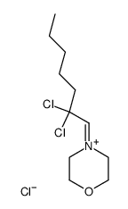 4-(2,2-dichloroheptylidene)morpholin-4-ium chloride结构式
