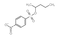1-nitro-4-pentan-2-yloxysulfonyl-benzene picture