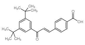 Ch 55 structure