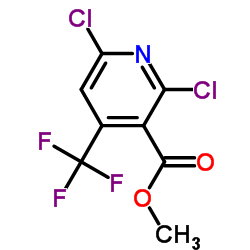 METHYL 2,6-DICHLORO-4-(TRIFLUOROMETHYL)NICOTINATE structure