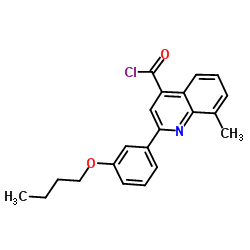2-(3-Butoxyphenyl)-8-methyl-4-quinolinecarbonyl chloride结构式