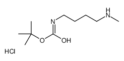 1-甲基氨基-4-boc-氨基丁烷盐酸盐结构式