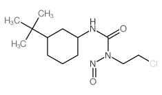 3-(3-tert-butylcyclohexyl)-1-(2-chloroethyl)-1-nitrosourea结构式