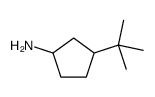 3-tert-butylcyclopentan-1-amine Structure