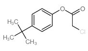Acetic acid, 2-chloro-,4-(1,1-dimethylethyl)phenyl ester picture