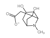 3,6-Dihydroxy-8-methyl-8-azabicyclo[3.2.1]octane-6-acetate structure