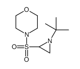 4-(1-tert-butylaziridin-2-yl)sulfonylmorpholine结构式
