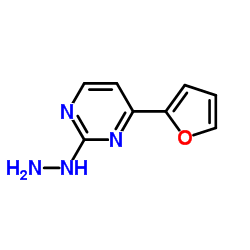 4-(2-Furyl)-2-hydrazinopyrimidine结构式