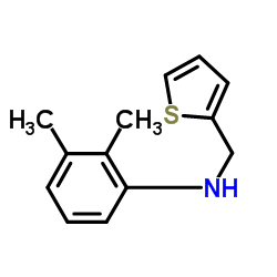 2,3-Dimethyl-N-(2-thienylmethyl)aniline Structure