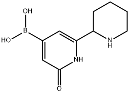 (2-hydroxy-6-(piperidin-2-yl)pyridin-4-yl)boronic acid结构式
