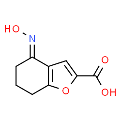 2-Benzofurancarboxylicacid,4,5,6,7-tetrahydro-4-(hydroxyimino)-(9CI)结构式