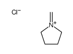 1-methylidenepyrrolidin-1-ium,chloride Structure