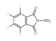 2-amino-4,5,6,7-tetrachloro-isoindole-1,3-dione结构式