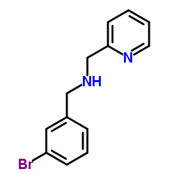 1-(3-BROMOPHENYL)-N-(PYRIDIN-2-YLMETHYL)METHANAMINE picture