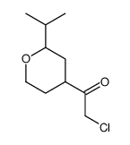 Ethanone, 2-chloro-1-[tetrahydro-2-(1-methylethyl)-2H-pyran-4-yl]- (9CI)结构式