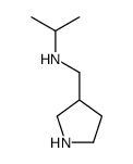 N-(pyrrolidin-3-ylmethyl)propan-2-amine Structure