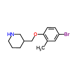 3-[(4-Bromo-2-methylphenoxy)methyl]piperidine Structure