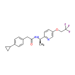 TTA-A2 Structure