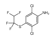 2,5-dichloro-4-(1,1,2,2-tetrafluoroethylsulfanyl)aniline Structure