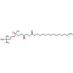1-PENTADECANOYL-2-HYDROXY-SN-GLYCERO-3-PHOSPHOCHOLINE structure