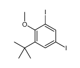 1-叔丁基-3,5-二碘-2-甲氧基苯图片