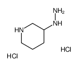 3-Hydrazinylpiperidine dihydrochloride structure