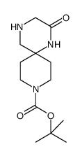 叔丁基2-氧杂-1,4,9-三氮杂螺[5.5]十酮烷-9-羧酸盐结构式