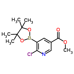 Methyl 6-chloro-5-(4,4,5,5-tetramethyl-1,3,2-dioxaborolan-2-yl)nicotinate picture