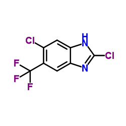 2,5-Dichloro-6-(trifluoromethyl)-1H-benzimidazole structure