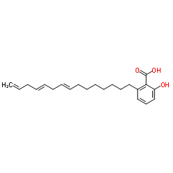 Anacardic Acid Structure