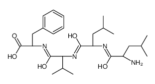 (Leu16)-Amyloid β-Protein (16-19) Structure