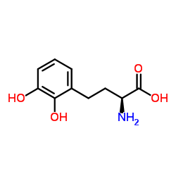 Benzenebutanoic acid, alpha-amino-2,3-dihydroxy-, (alphaS)- (9CI) picture