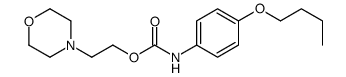 2-morpholin-4-ylethyl N-(4-butoxyphenyl)carbamate结构式