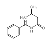 3-methyl-N-phenyl-butanehydrazide结构式
