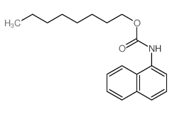 octyl N-naphthalen-1-ylcarbamate结构式