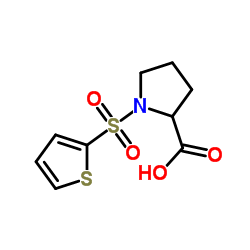 1-(THIOPHENE-2-SULFONYL)-PYRROLIDINE-2-CARBOXYLIC ACID Structure